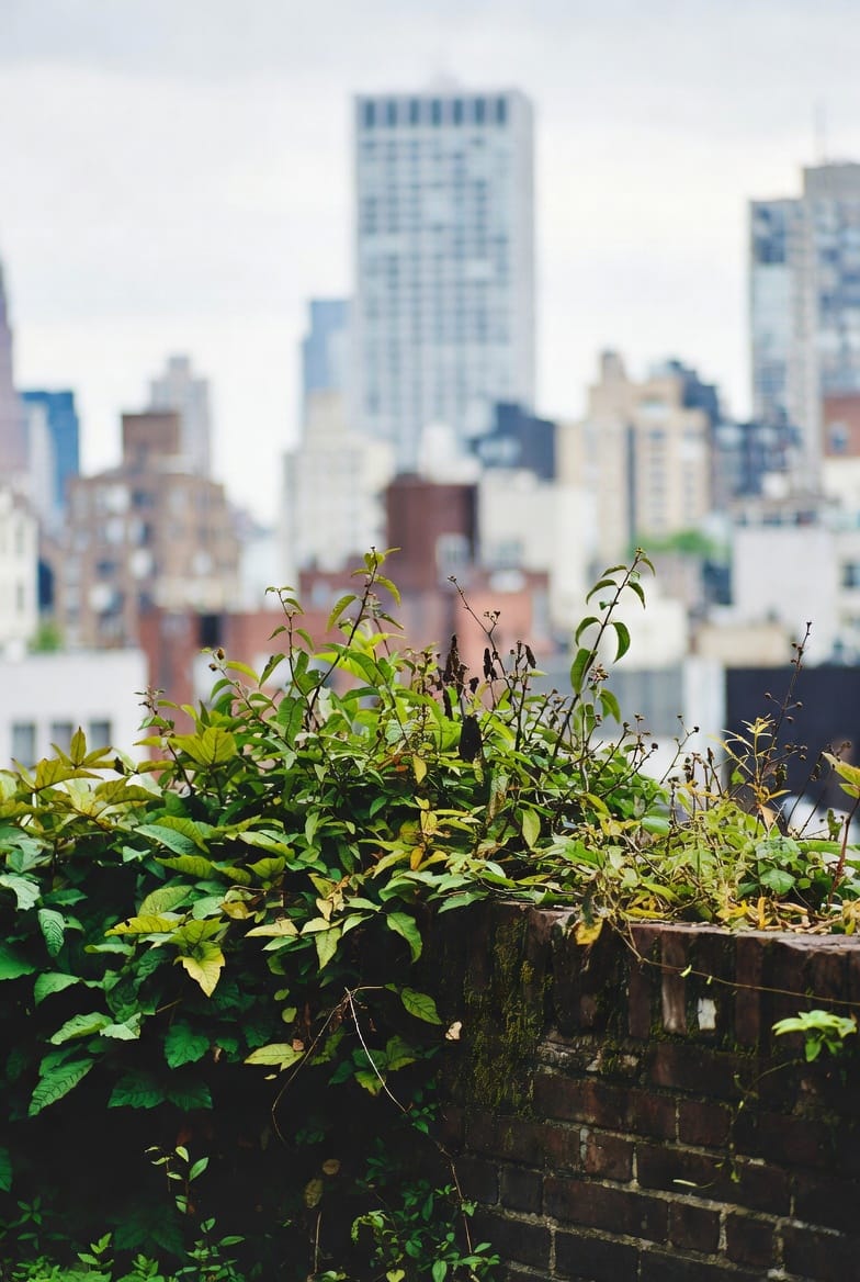 Future Trends: Fiber Optic and Hybrid Interconnects